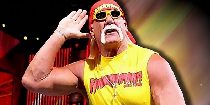 Hulk Hogan Divorced From His Second Wife