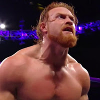 Cruiserweight Title Match Added To WWE Survivor Series
