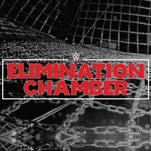 New Title Match Announced For WWE Elimination Chamber
