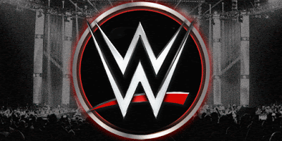 WWE Reports 2019 Results