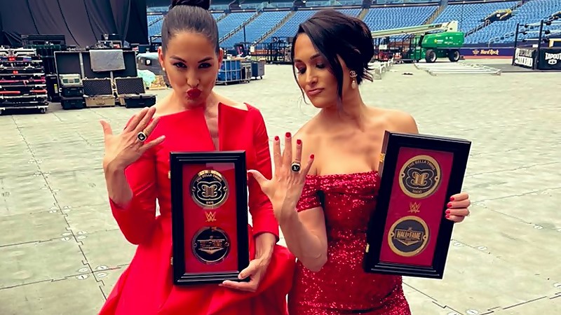 Possible Issue Between WWE and The Bella Twins Led to Nixed RAW 30 Appearance?