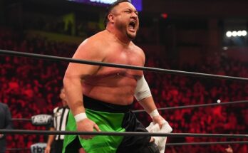 Cage Match Stipulation Added to AEW World Title Bout at Beach Break