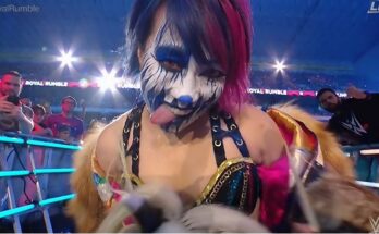 Asuka Reiterates Boundary on Fan Behavior Amid WWE Hiatus