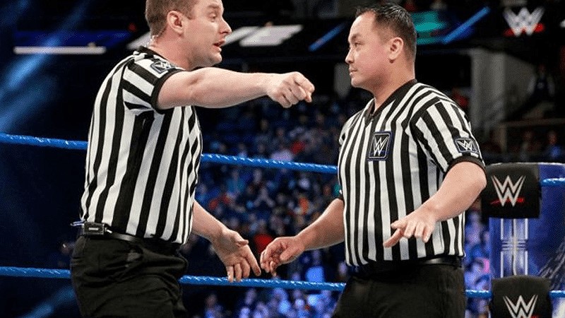 Analyzing Referee Decisions in Wrestling: Impact on Match Outcomes