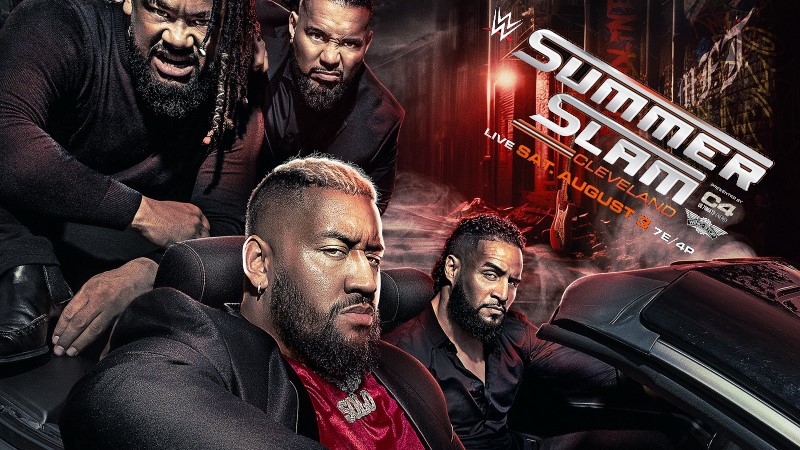Wwe plans cheap