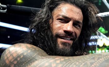WWE Shop Selling Undisputed Tribal Chief Replica Title For 9.99 WWE Shop Selling Undisputed Tribal Chief Replica Title For 9.99