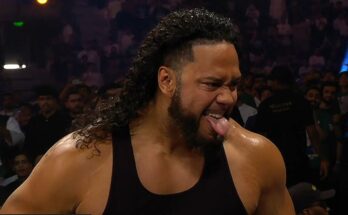 WWE Renames Hikuleo as Tala Tonga Following Night of Champions Debut