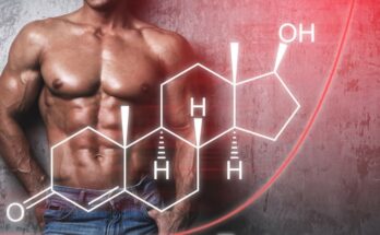 Testosterone and Strength: How Hormones Drive Performance on the Mat