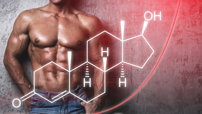 Testosterone and Strength: How Hormones Drive Performance on the Mat