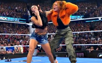 WWE Stars React to AJ Lee’s Return