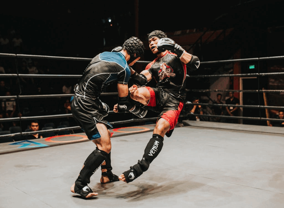 Spectacular Sports Betting: From Boxing to Wrestling — What Attracts Bettors