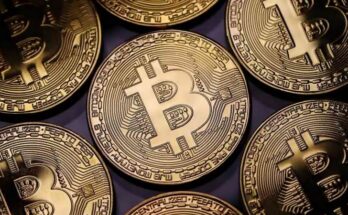 From Mining to Trading: A Look at the Growth of the Crypto Community in Poland