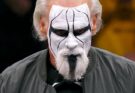 Sting Makes Shocking Return at WrestleDream 2025