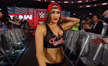 Nikki Bella Declares Her WWE Career Is Far From Over After Survivor Series Loss
