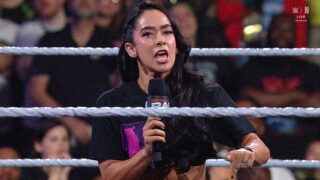 AJ Lee Hints at WWE Hiatus After WrestleMania 42 Loss