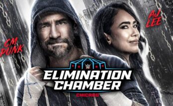 CM Punk And AJ Lee Featured On WWE Elimination Chamber Poster