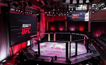 The  Billion Year: UFC’s Global Strategy for 2026