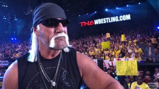 Hulk Hogan Reveals Heavy Fentanyl Use During TNA Run in Netflix Documentary