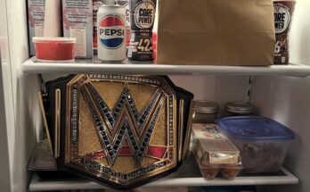 CM Punk Recreates Iconic Photo With WWE Title In The Fridge