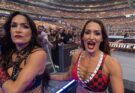 The Bella Twins Turn on Paige at SummerSlam