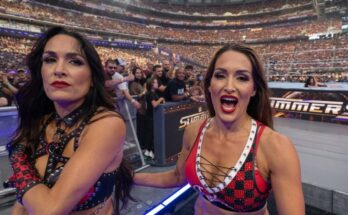The Bella Twins Turn on Paige at SummerSlam