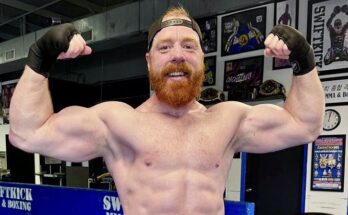 Sheamus Enters Free Agency As WWE Contract Obligations Official Expire